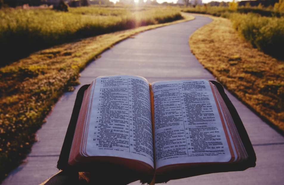 The Words of the Wise - Bible lesson for all ages